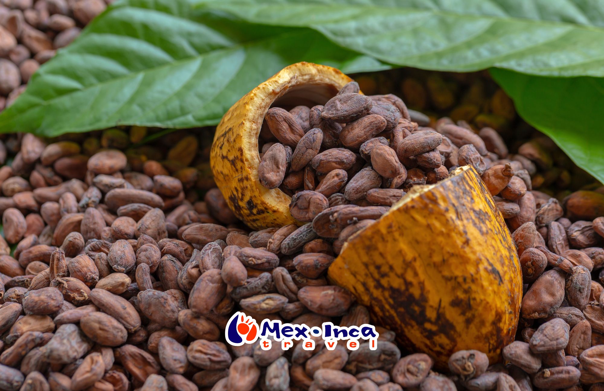 El_origen_del_cacao_en_Tabasco_con_City_Express