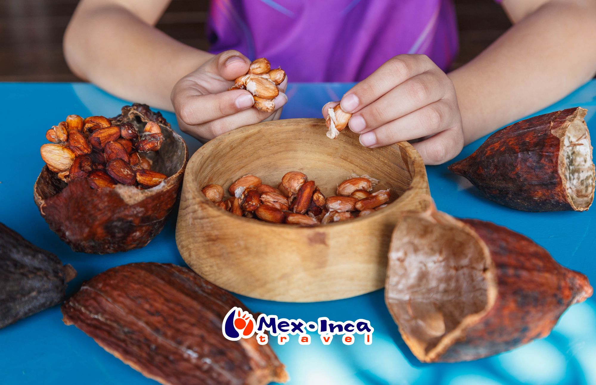 El_origen_del_cacao_en_Tabasco_con_Olmeca_Plaza
